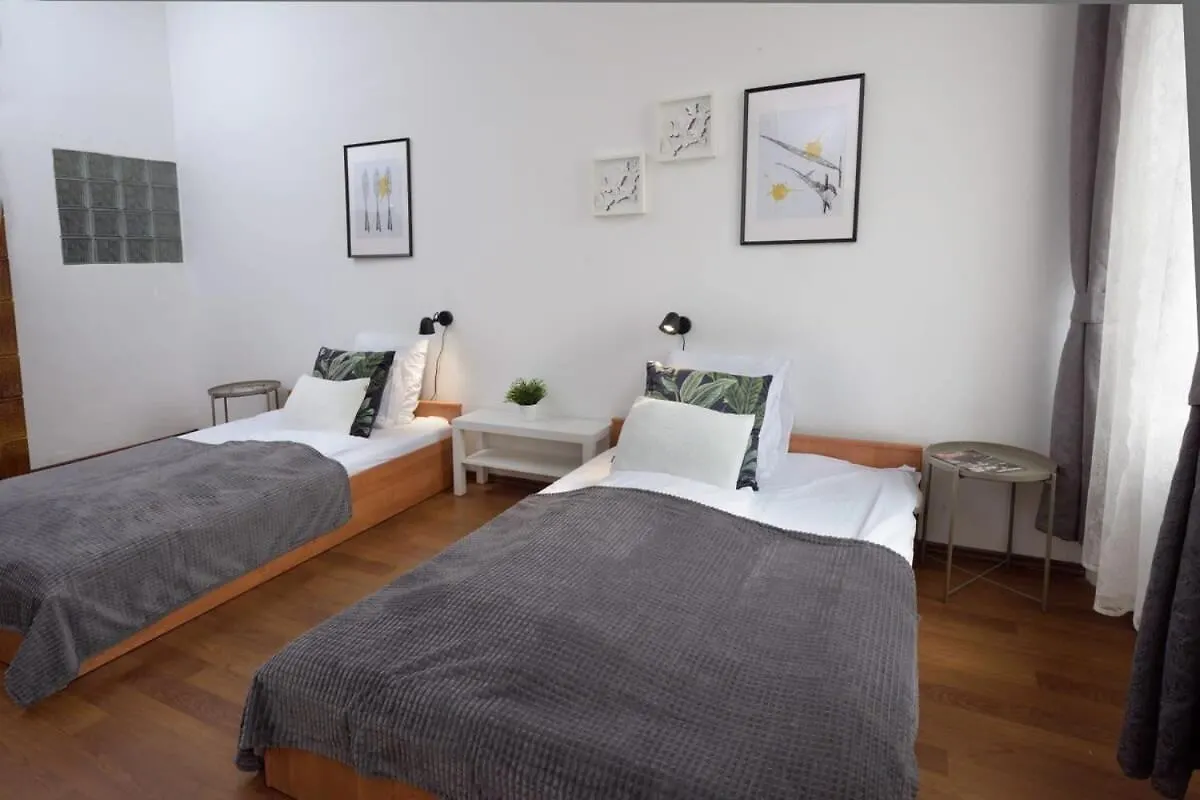 Central Large Cosy Apartment Budapeşte