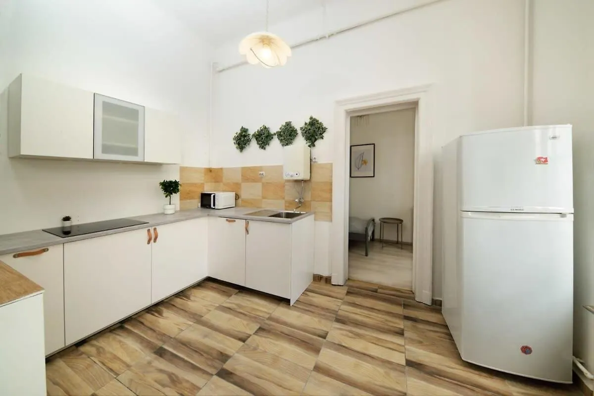Central Large Cosy Apartment 布达佩斯