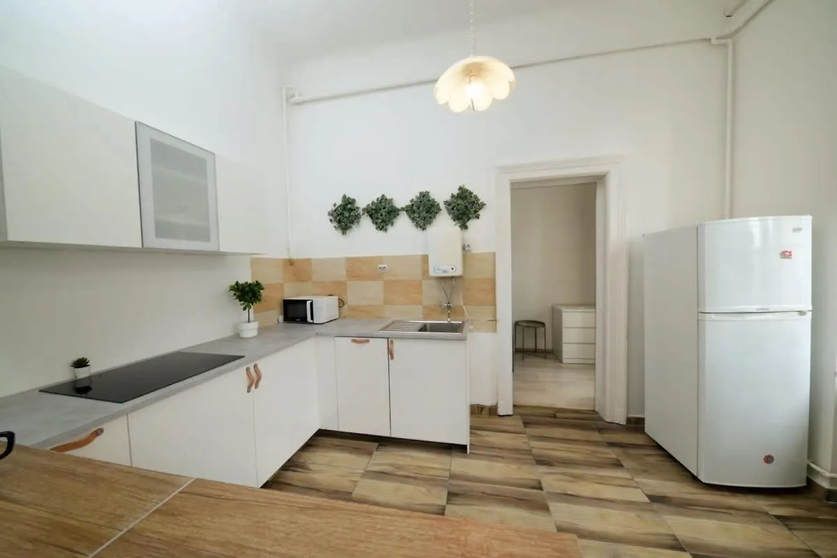 Central Large Cosy Apartment 布达佩斯